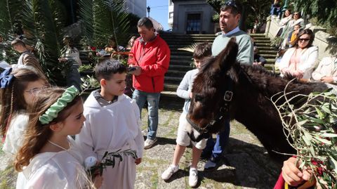 Domingo de Ramos en Ribeira