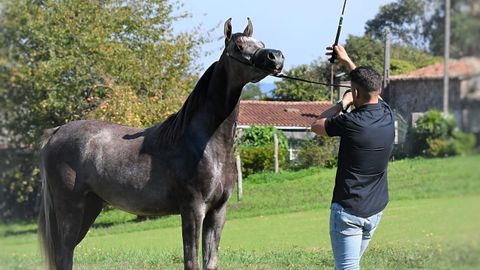 OD Aslan fue tercero de su categora en su primer concurso.