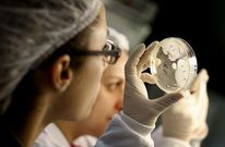 La cartera de proyectos es variada y habr� grupos de investigaci�n de todos los hospitales gallegos.