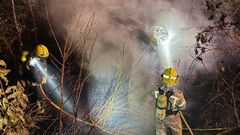 Los bomberos, apagando el fuego que calcin� el veh�culo y la zona de monte donde sucedi� el accidente