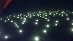 Imagen captada por sat�lites que recogen luces de pesqueros faenando en la milla 201