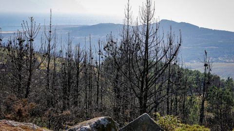 As est el monte de Barbanza un ao despus del gran incendio