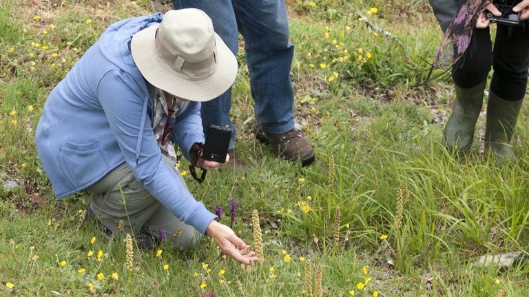 Participantes en una visita guiada a las microrreservas de orqu�deas de O Courel