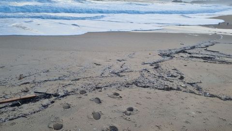 La playa de Queiruga, sembrada de bolitas