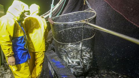 Tripulantes de un cerquero gallego pescando sardinas (foto de archivo)