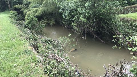 Estado en el que se encuentra el r�o Pinzales, en Gij�n