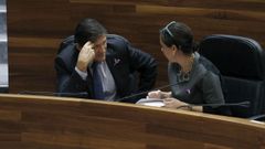 El presidente asturiano, Javier Fern�ndez, y la consejera de Hacienda, Dolores Carcedo