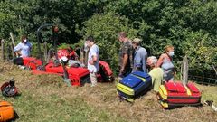 Rescate del hombre atacado por avispas