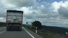 Los caballos irrumpen sin control en la carretera de As Pontes a Ortigueira