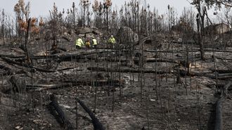 Las asociaciones del sector dicen que si hay actividad en los territorios es m�s fa�cil prevenir los incendios forestales