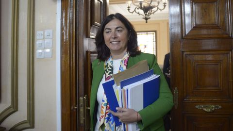 Elena Candia, entrando en un pleno de Lugo