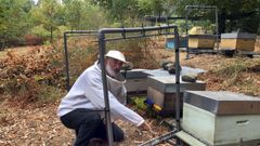 Las arpas sin m�sica que salvan la vida a las abejas de Campa��