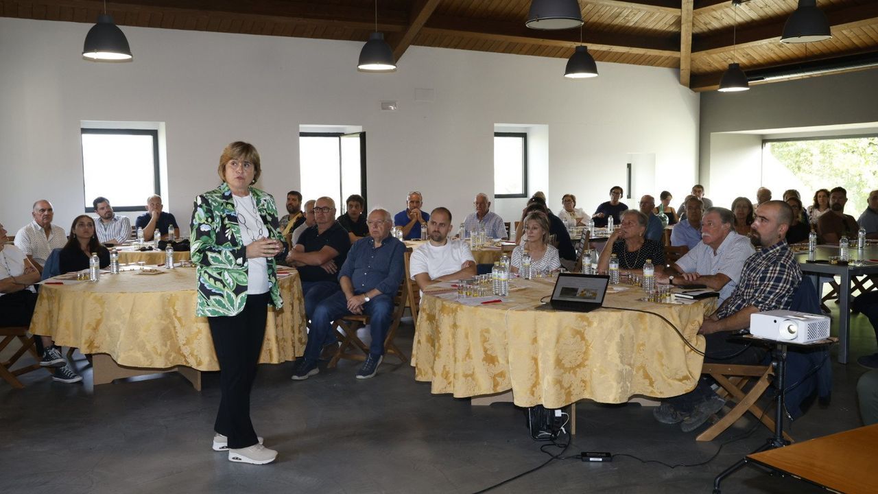 Medio Rural avanza en la identificación de variedades de aceituna gallega
