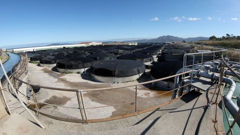 Playa de tanques en la piscifactor�a