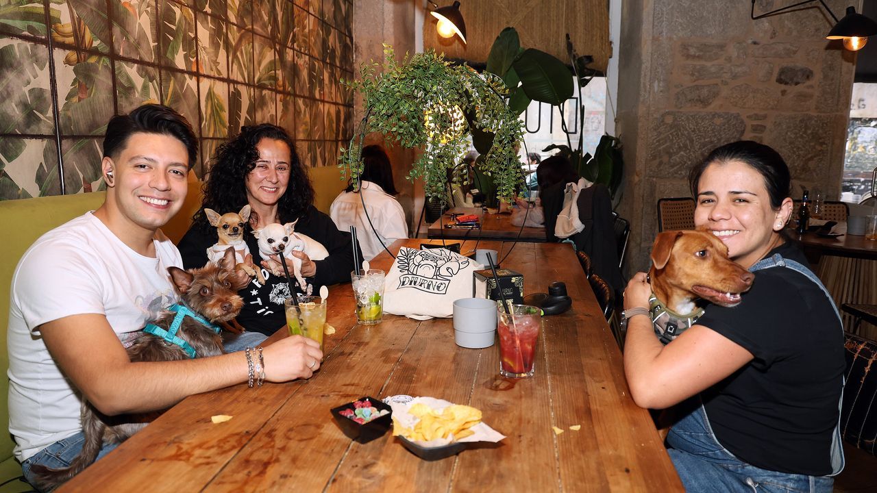 Ser destino «pet friendly» es valor añadido