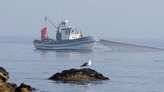 Un barco de artes menores recogiendo los mi�os que ten�a largados en la r�a de Arousa.