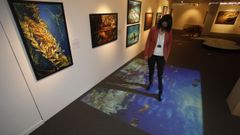 A exposici�n estar� en Lugo ata xu�o