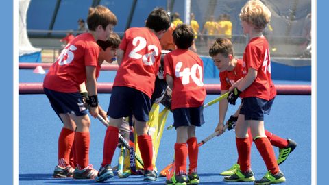 Imagen del XV Memorial Rafael Alegr�a de Hockey Hierba del Real Grupo Covadonga