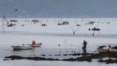 Marisqueo en Carril, en una foto de archivo