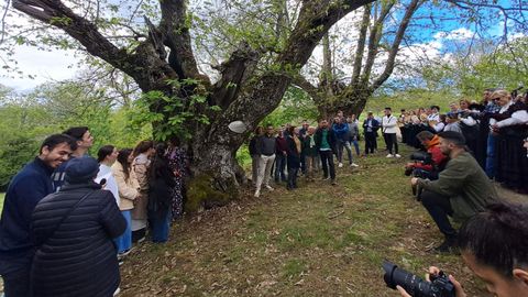 Celebracin do festival Latexos do Rural en Ris