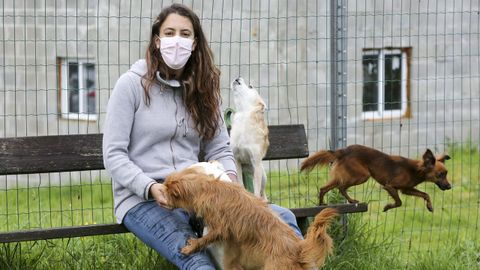 Yadira Tenreiro, en una imagen tomada en Castro, rodeada de cuatro de sus seis �perrhijos�