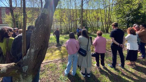 D�a da Poes�a en Sedes, Nar�n