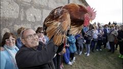 Busca aquí las imágenes de la romería de San Alberto