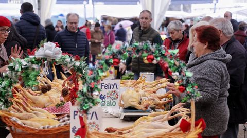 La Feira do Galo celebra este 2025 su 34.� edici�n con limitaciones por la gripe aviar
