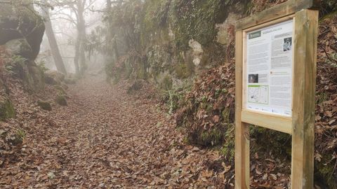 Senderismo en O Pereiro de Aguiar.El Concello acaba de poner en marcha tres nuevas rutas por el municipio y suma 50 kilmetros de trazados de senderismo