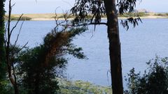 En la foto, el humedal de Doni&ntilde;os, donde se retiraron especies invasoras. KIKO DELGADO