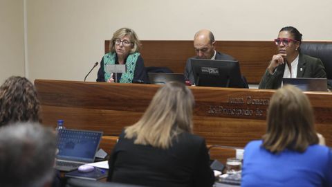 La fiscal superior de Asturias, Mara Eugenia Prendes, present este lunes en comisin parlamentaria la memoria de la Fiscala del Principado correspondiente al ao 2023