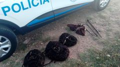 Decomiso de 20 kilos de percebe en la zona de la Torre realizado el viernes por la ma�ana