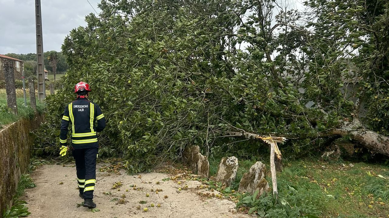 La borrasca deja árboles caídos y el desplome de un andamio en Lalín