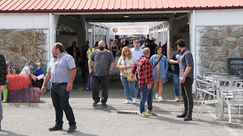 Feria de Muestras de Tineo