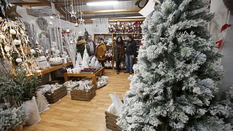 Navidad en Viveiros O Pi�eiro