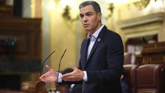 S�nchez defiende en el Congreso sus medidas anticrisis
