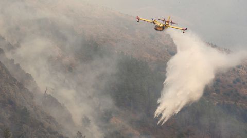 El coste de los incendios forestales no se tuvo en cuenta a la hora de hacer la valoración.