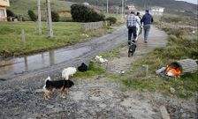 Varios residentes de Nemi�a caminan por una pasarela da�ada al lado de un camino lleno de barro.