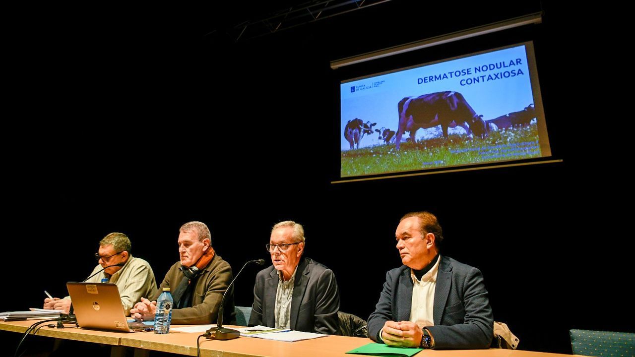 Medio Rural trasladó en Lalín a los ganaderos medidas para afrontar la dermatosis nodular