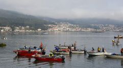 Embarcaciones de marisqueo a flote en la r�a de Pontevedra
