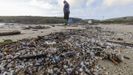 Las bolitas blancas tambin llegan por miles a la playa de Nemia, en Muxa