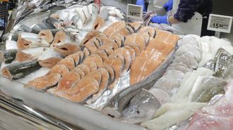 Pescados correctamente identificados en una pescader�a gallega.