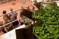 A Pementeira se encarga de la producci�n, envasado y comercializaci�n de los pimientos.