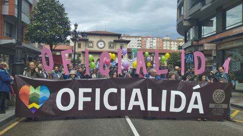Manifiestación por la oficialidad del asturiano y el gallego-asturiano.