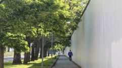 Muralla en el tramo entre la puerta del Dique y la de Enfermer�a, que forma parte de la fase 2.