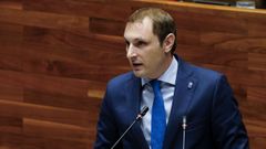 El diputado de Foro y grupo mixto, Adrián Pumares
