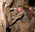 Labores de rescate del espele�logo espa�ol Cecilio L�pez. 