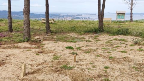 Una de las tres mesas del �rea recreativa de Cea, con vistas sobre la r�a de Arousa, fue cortada por sus pies y robada junto a sus bancos