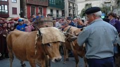 Fiesta de la Vendimia de Cangas del Narcea.Fiesta de la Vendimia de Cangas del Narcea
