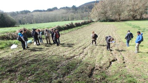 En el suelo de maiz, el suelo está compactado y se erosiona. En la pradera adyacente se siembra una pradera entre la cosecha del maiz y la siembra del siguiente cultivo para proteger al suelo de la erosión, corregir la compactación y aporta nitrógeno